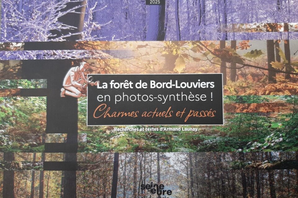 livre for&ecirc;t de Bord Armand Launay