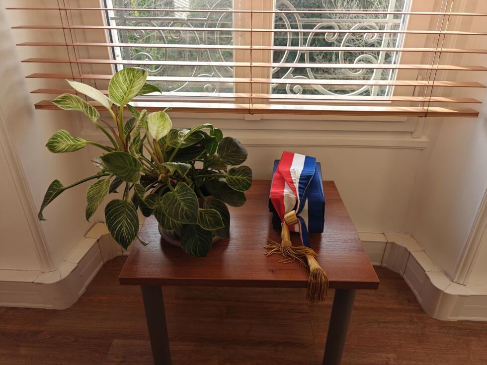 L'&eacute;charpe de maire sur une table basse &agrave; c&ocirc;te d'une plante dans le bureau de Romain Colas &agrave; Boussy-Saint-Antoine, le 9 f&eacute;vrier 2026
