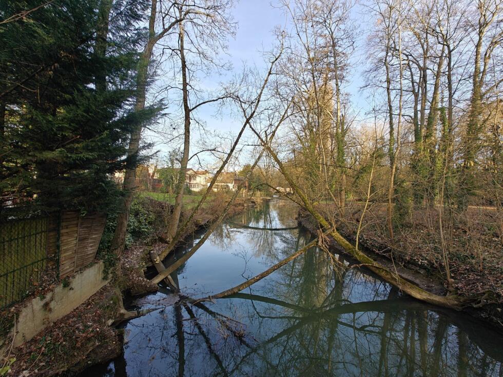 L'Yerres traversant Boussy-Saint-Antoine sous le soleil hivernal, le 9 f&eacute;vrier 2026